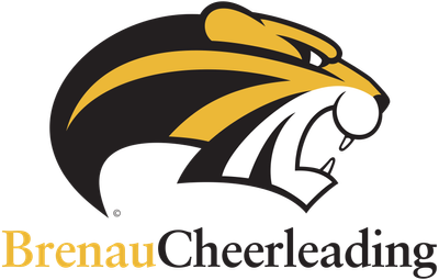 SPIRIT CHEERLEADING