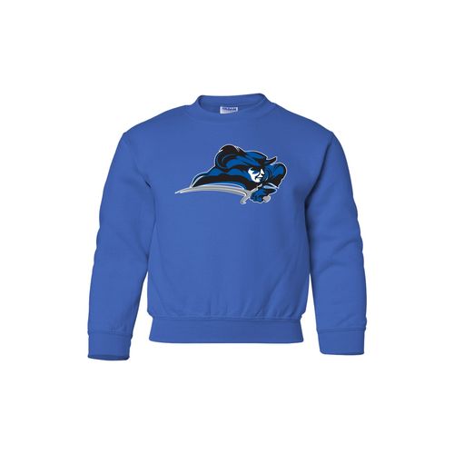 Picture of Heavy Blend Youth Sweatshirt - royal