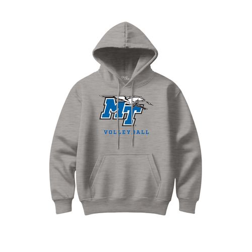 Picture of Classic Hoodie - Light Grey