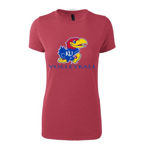 Picture of Women's Fitted Triblend T-Shirt - Red Heather