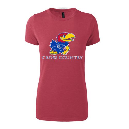 Picture of Women's Fitted Triblend T-Shirt - Red Heather
