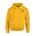Picture of Fleece Hoodie - navy