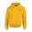 Picture of Fleece Hoodie - gold