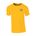 Picture of Classic T-Shirt - gold