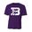 Picture of Youth Performance T-Shirt - Purple