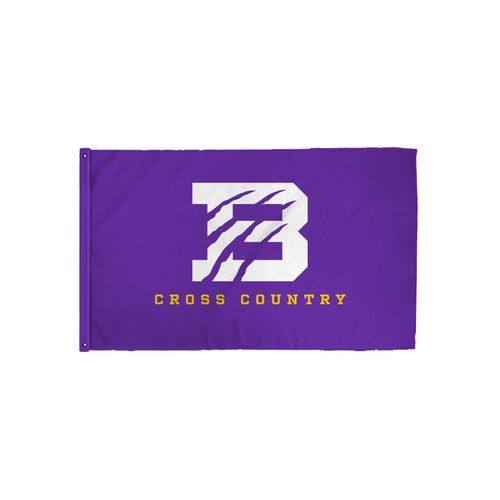 Picture of 3x5 Flag - White