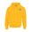 Picture of Fleece Hoodie - Gold