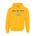 Picture of Fleece Hoodie - sport grey