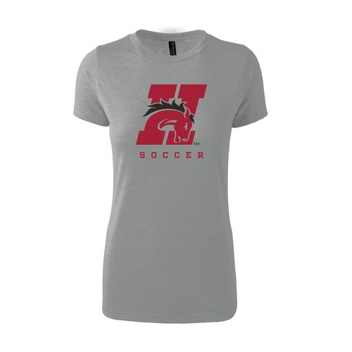 Picture of Women's Triblend T-Shirt - Grey Heather