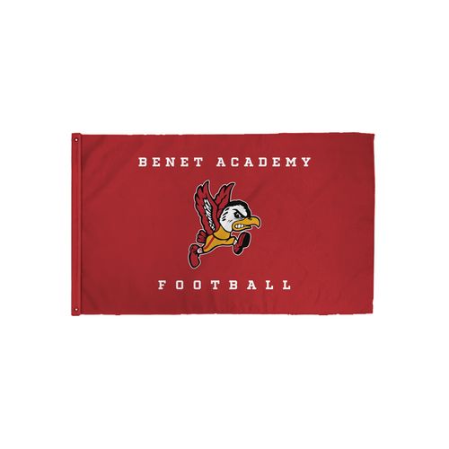 Picture of 3x5 Flag - White
