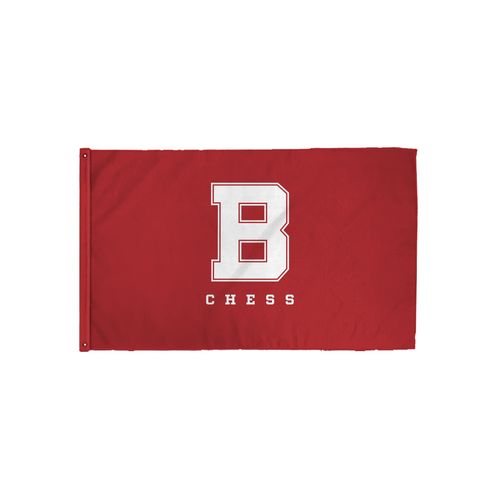 Picture of 3x5 Flag