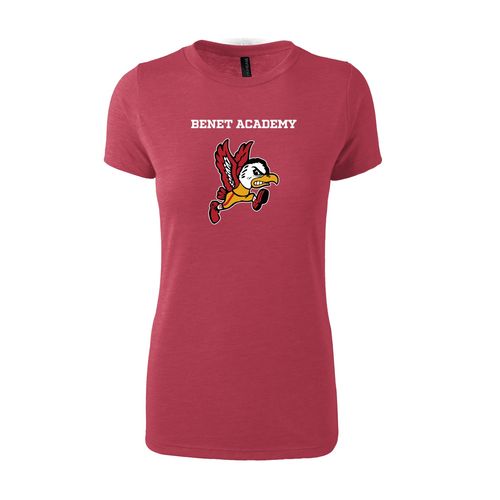 Picture of Women's Fitted Triblend T-Shirt - red heather