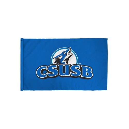 Picture of 3x5 Flag - White