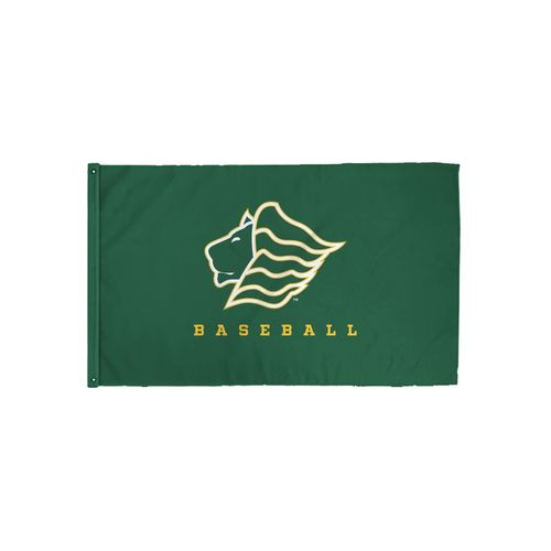 Picture of 3x5 Flag
