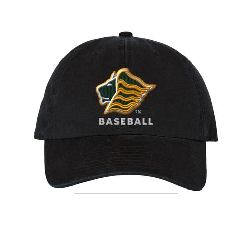 Picture of 47 Brand Clean Up Cap - black