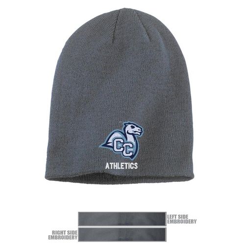 Picture of Classic Beanie - Grey