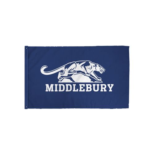 Picture of 3x5 Flag - White