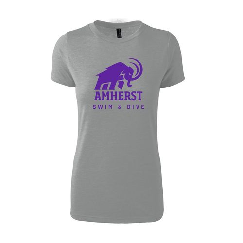 Picture of Women's Triblend T-Shirt - Grey Heather