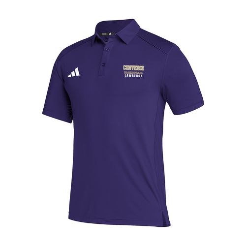 Picture of Men's Classic Polo - team collegiate purple