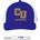 Picture of Structured Adjustable Mesh - collegiate purple
