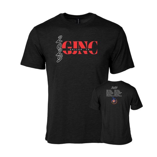 Picture of Triblend T-Shirt - black