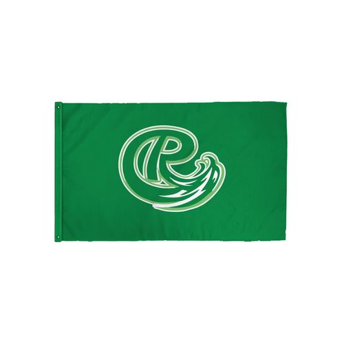 Picture of 3x5 Flag - White