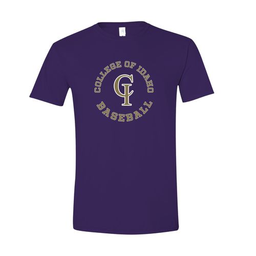 Picture of Women's Semi-Fitted Classic T-Shirt  - Purple