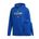 Picture of Men's Fleece Hood  - Collegiate Royal