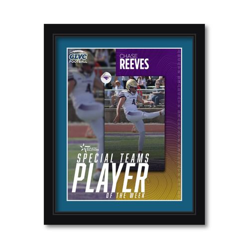 Picture of GLVC W9 Reeve - 12x16 Photo - Framed Print