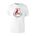 Picture of Triblend T-Shirt - Red Heather
