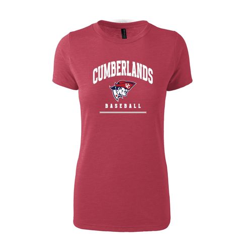 Picture of Women's Fitted Triblend T-Shirt - Red Heather