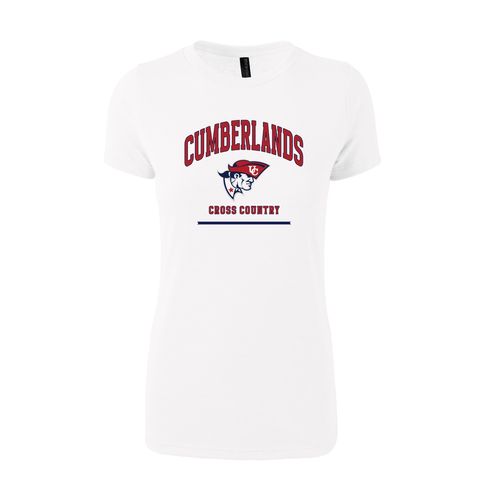 Picture of Women's Fitted Triblend T-Shirt - White