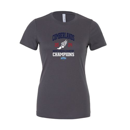Picture of Women's Semi Fitted Premium T-Shirt - Asphalt