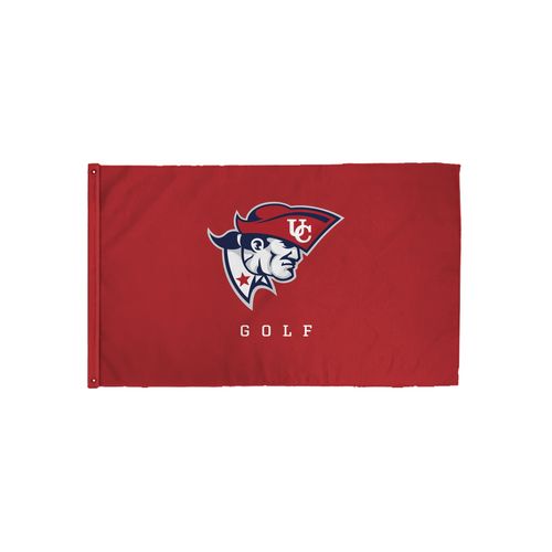 Picture of 3x5 Flag - White