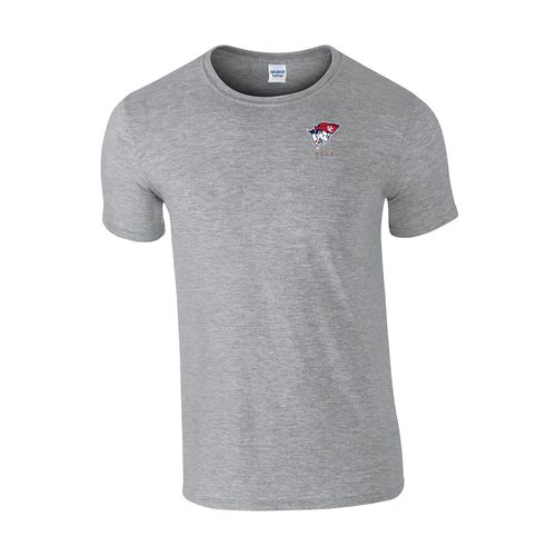 Picture of Youth Classic T-Shirt - Sport Grey