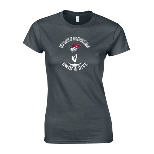 Picture of Women's Semi-Fitted Classic T-Shirt  - Charcoal