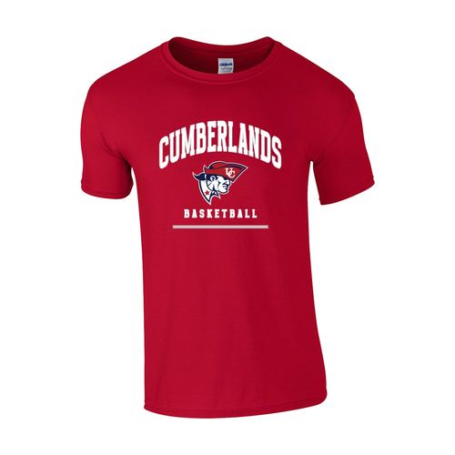 Picture of Youth Classic T-Shirt - Red