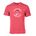 Picture of Triblend T-Shirt - Charcoal Heather