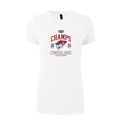 Picture of T-Shirt