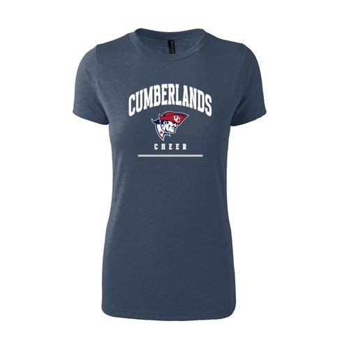 Picture of Women's Fitted Triblend T-Shirt - Navy Heather