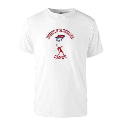Picture of Triblend T-Shirt - White
