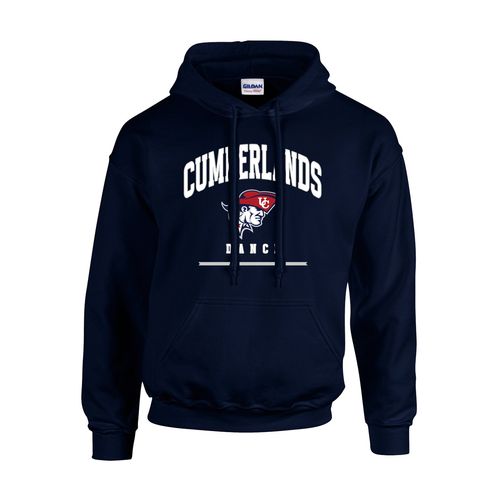 Picture of Fleece Hoodie - Navy