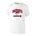 Picture of Triblend T-Shirt - White