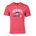 Picture of Triblend T-Shirt - Red Heather