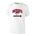 Picture of Triblend T-Shirt - Red Heather