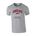 Picture of Youth Classic T-Shirt - Sport Grey