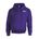 Picture of Fleece Hoodie - Sport Grey