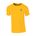 Picture of Classic T-Shirt - gold