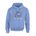 Picture of Fleece Hoodie - Light Blue