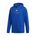 Picture of Men's Fleece Hood  - collegiate royal